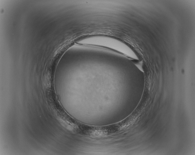 X0000085750303200703301409