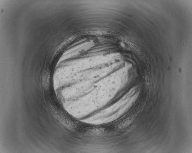 X0000085750304200703301409