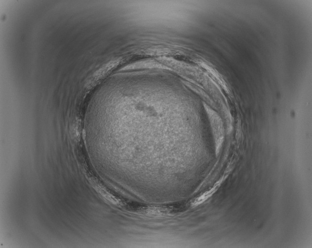 X0000085750305200703301409