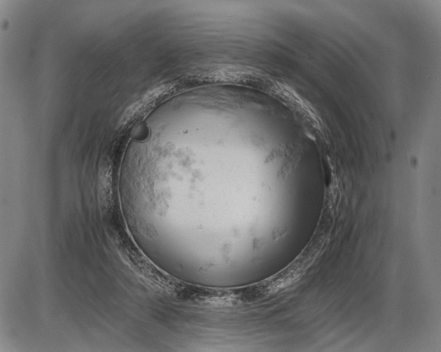 X0000085750306200703301409