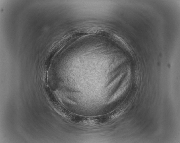 X0000085750307200703301409