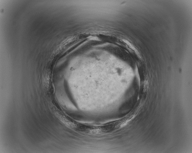 X0000085750309200703301409