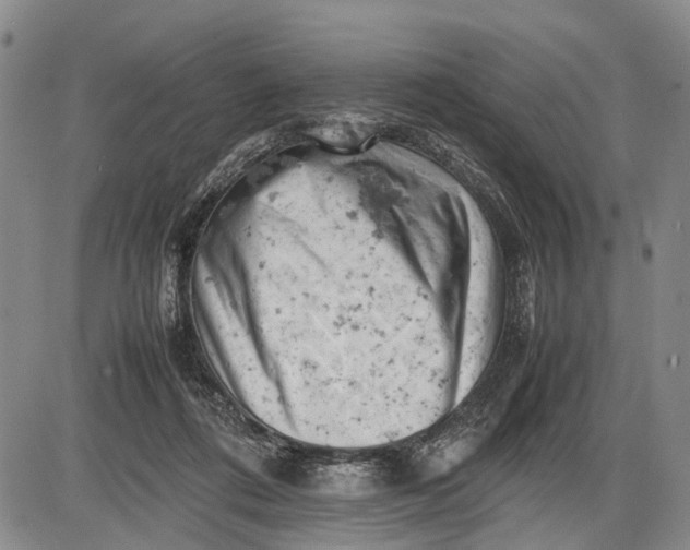 X0000085750312200703301409