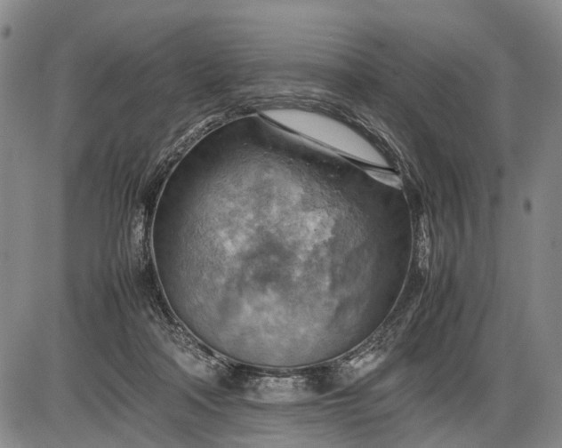 X0000085750314200703301409