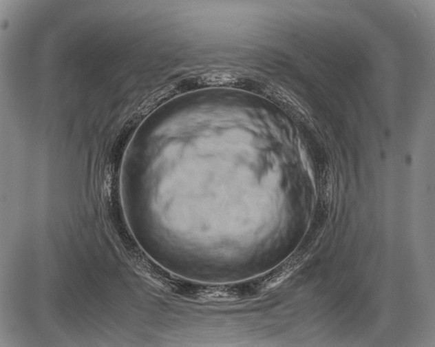 X0000085750315200703301409