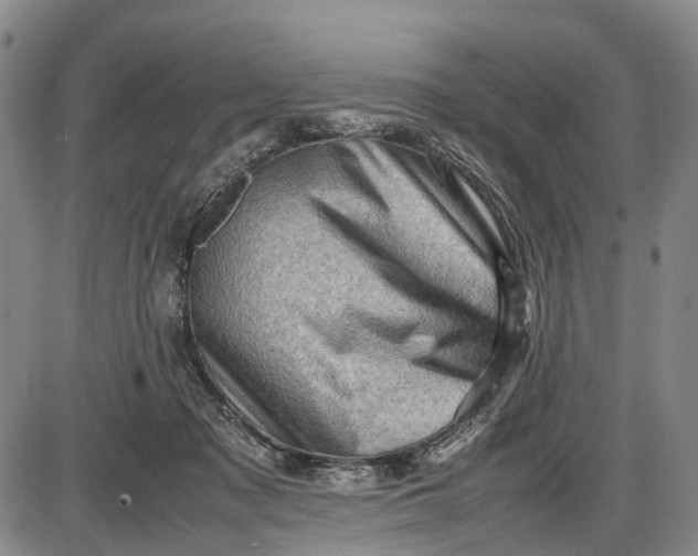 X0000085750317200703301409