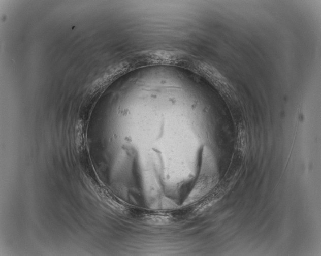 X0000085750318200703301409