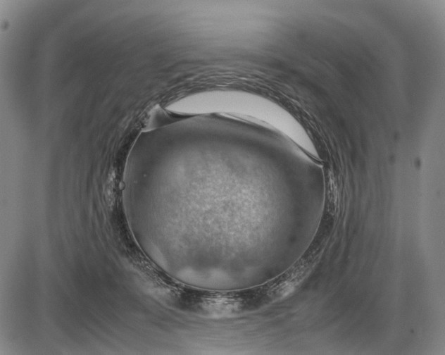 X0000085750319200703301409