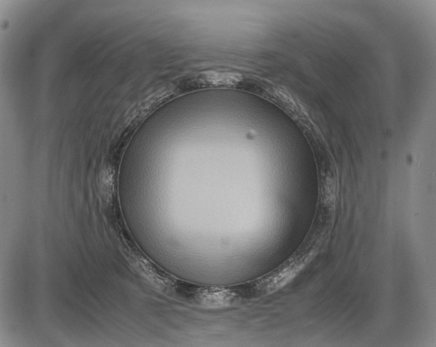 X0000085750321200703301409