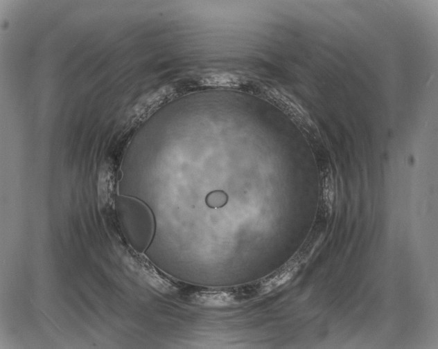 X0000085750322200703301409