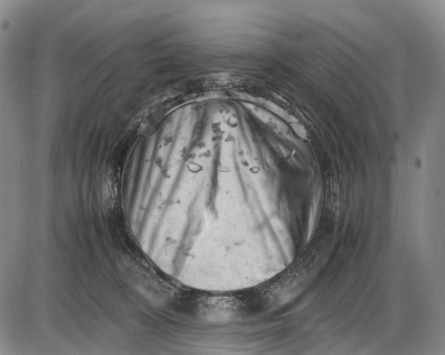 X0000085750324200703301409