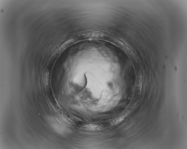 X0000085750326200703301409