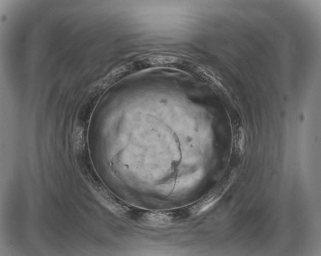 X0000085750327200703301409