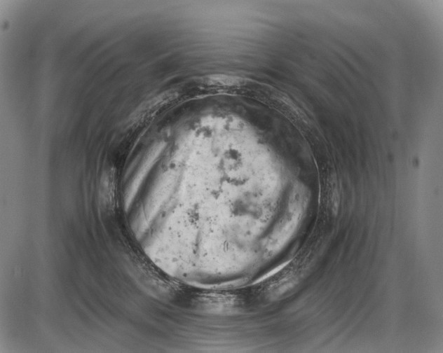 X0000085750328200703301409