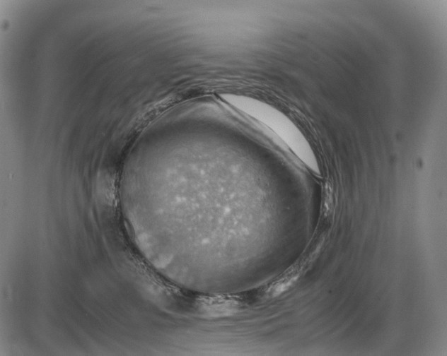 X0000085750331200703301409