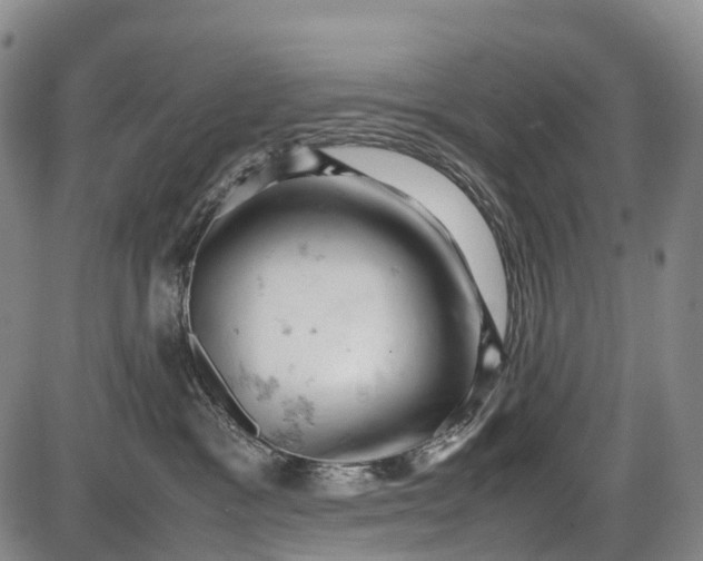 X0000085750333200703301409