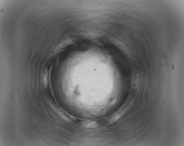 X0000085750334200703301409