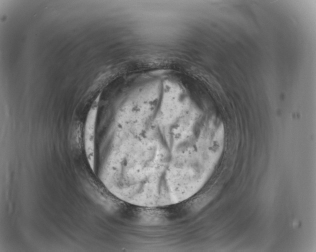 X0000085750336200703301409