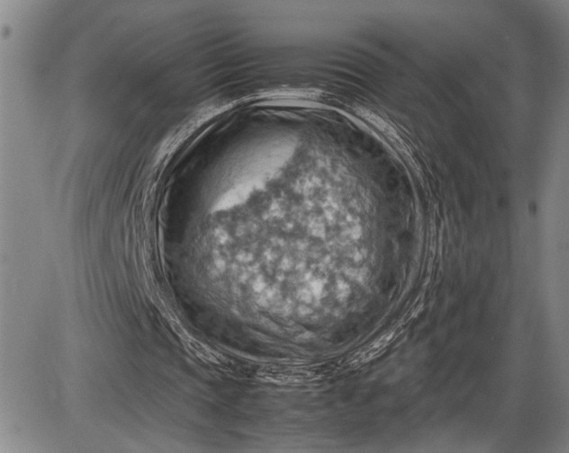 X0000085750337200703301408