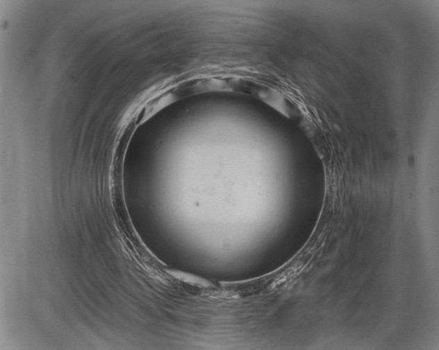 X0000085750340200703301408