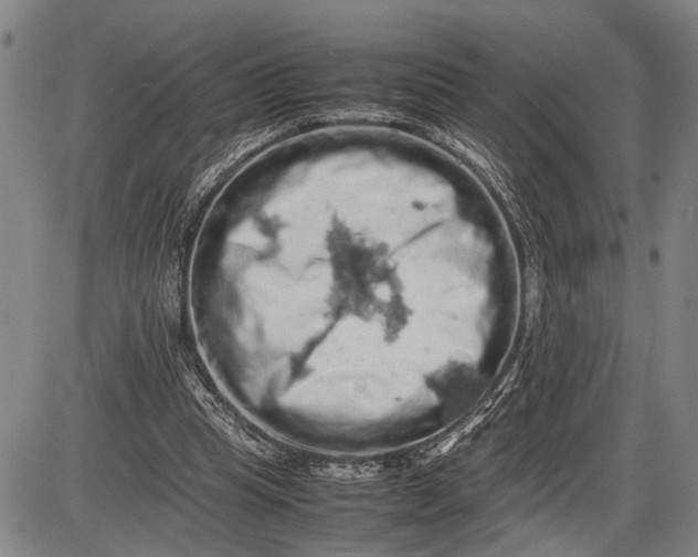 X0000085750345200703301408