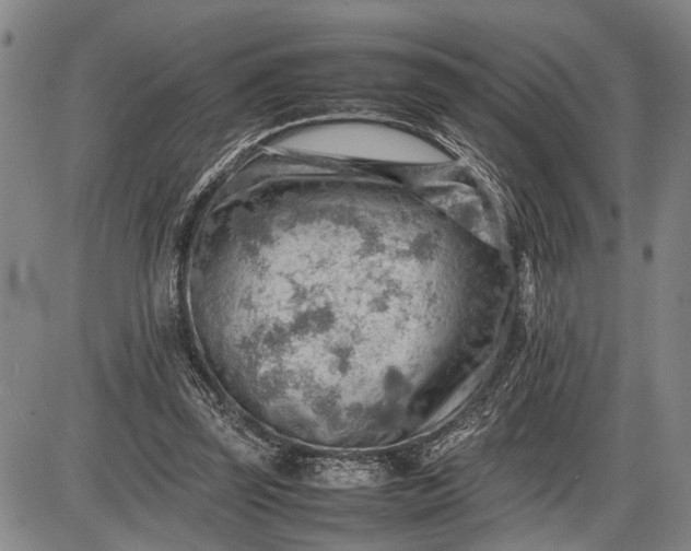 X0000085750347200703301408