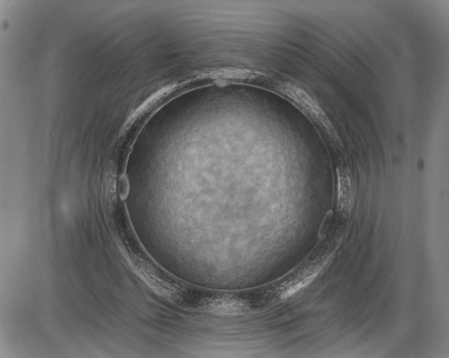 X0000085750348200703301408