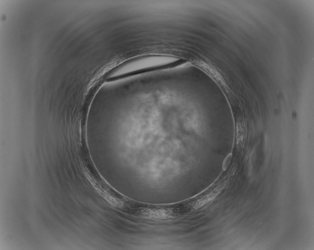 X0000085750349200703301408