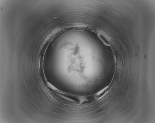 X0000085750350200703301408