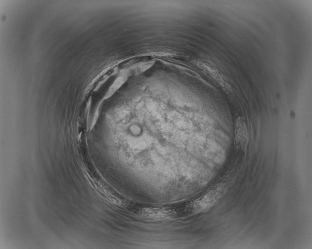 X0000085750351200703301408