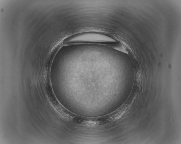 X0000085750352200703301408