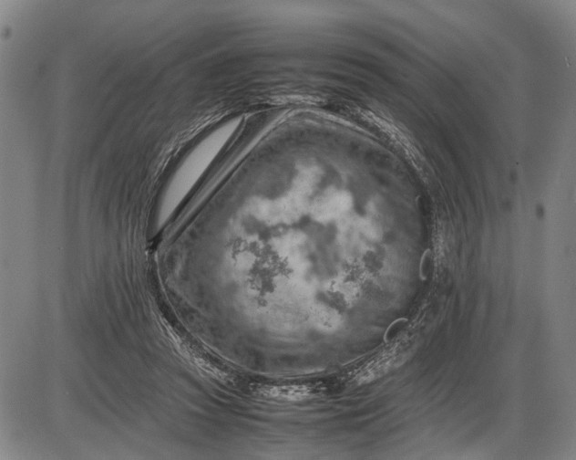 X0000085750353200703301408