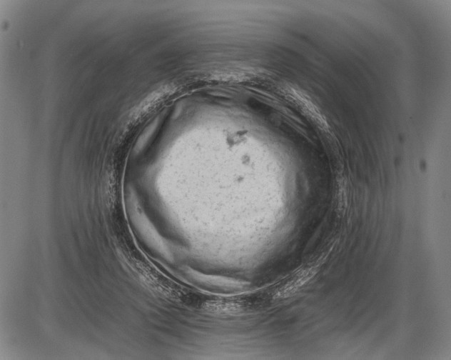 X0000085750354200703301408