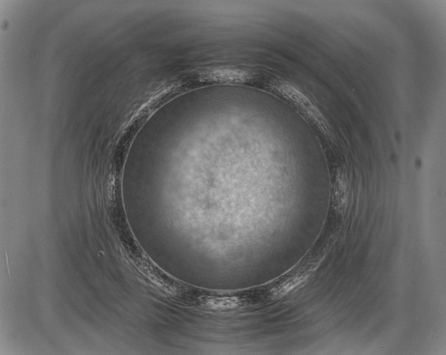 X0000085750355200703301408