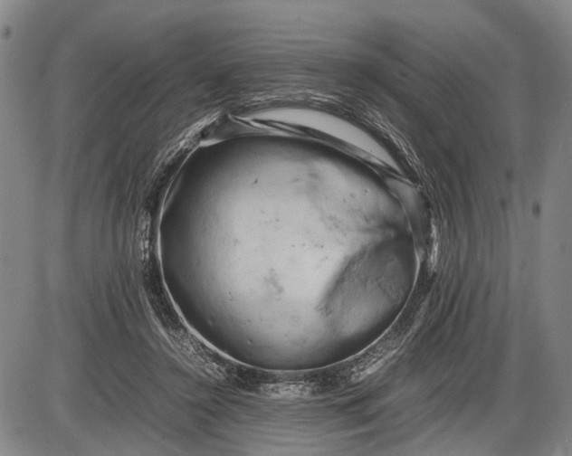 X0000085750356200703301408