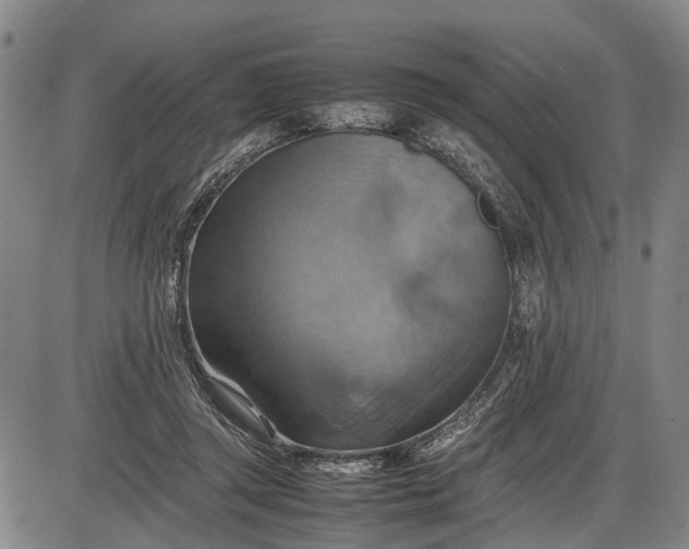 X0000085750357200703301408