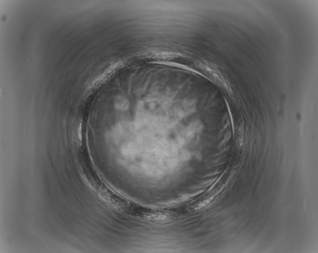 X0000085750358200703301408