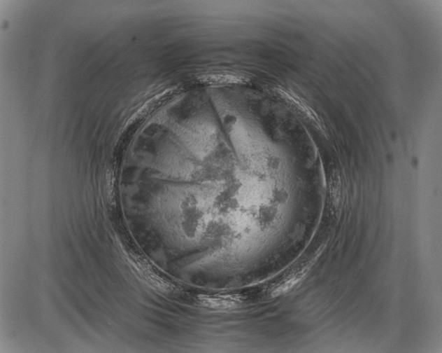 X0000085750359200703301408