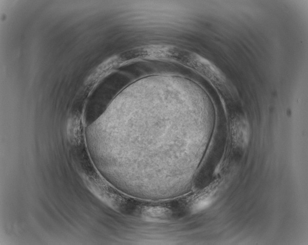 X0000085750360200703301408