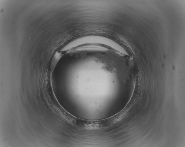 X0000085750362200703301408