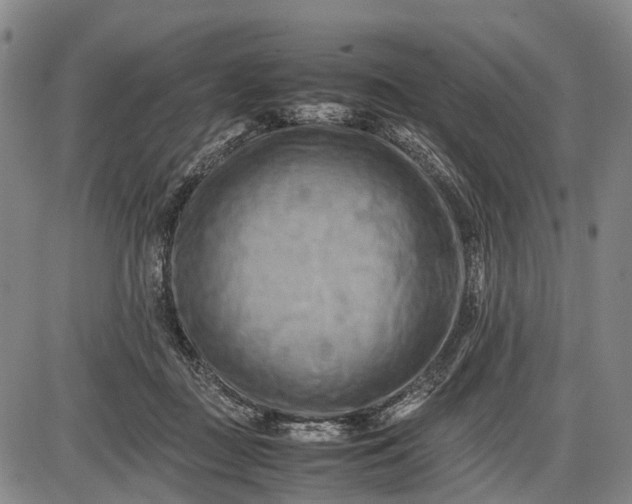 X0000085750363200703301408