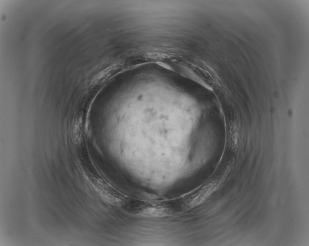 X0000085750364200703301408