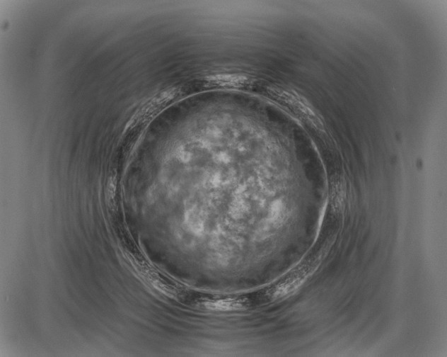 X0000085750365200703301408