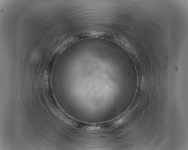 X0000085750366200703301408