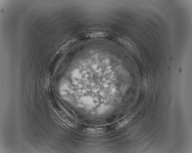 X0000085750367200703301408