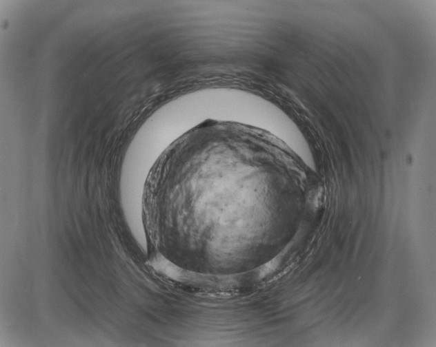 X0000085750368200703301408