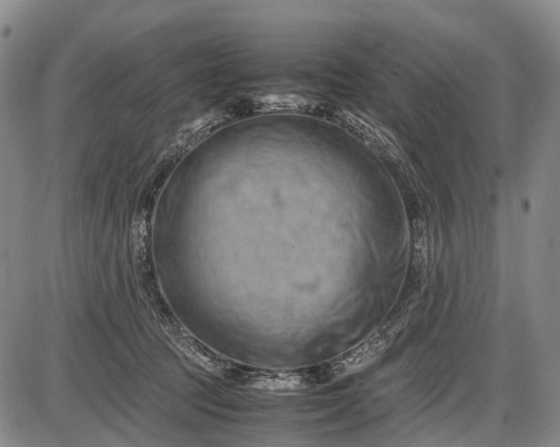 X0000085750369200703301408