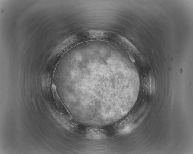 X0000085750372200703301408