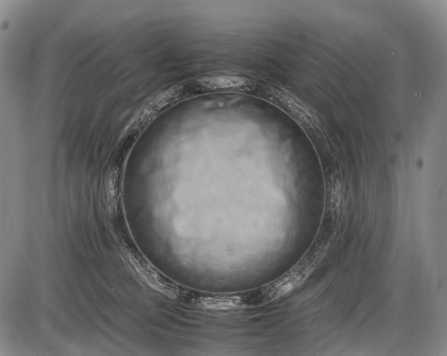 X0000085750373200703301408