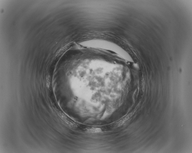 X0000085750374200703301408